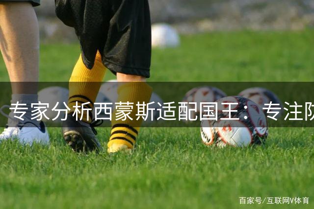 专家分析西蒙斯适配国王：专注防守组织即可 无需承担得分压力