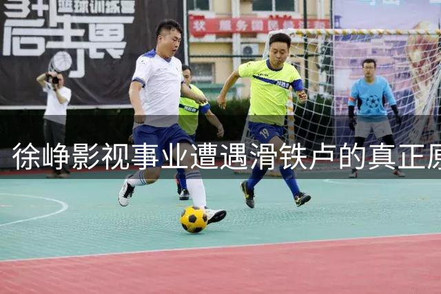 徐峥影视事业遭遇滑铁卢的真正原因